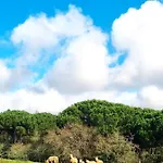 Casas Do Alpendre אובידוס