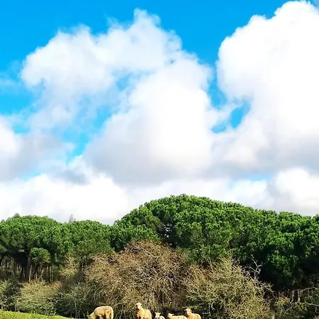 Casas Do Alpendre 오비도스
