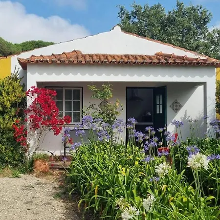 Casas Do Alpendre * 오비도스
