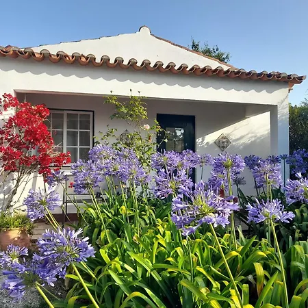 Casas Do Alpendre